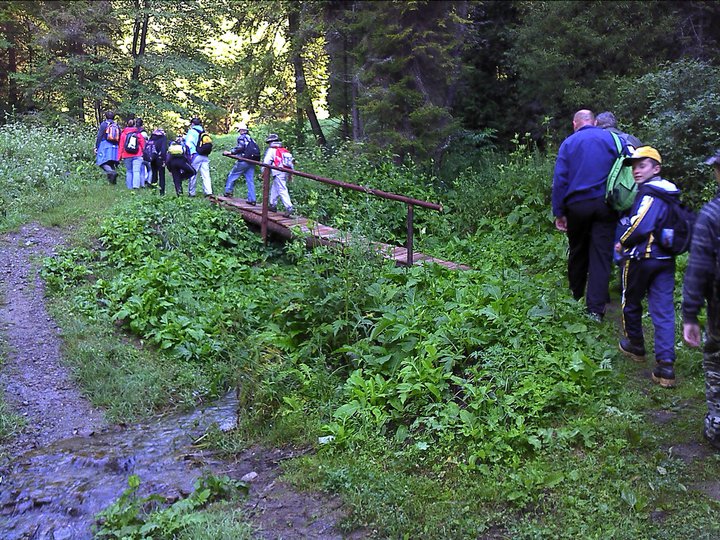 251433_259331920762265_575061_n