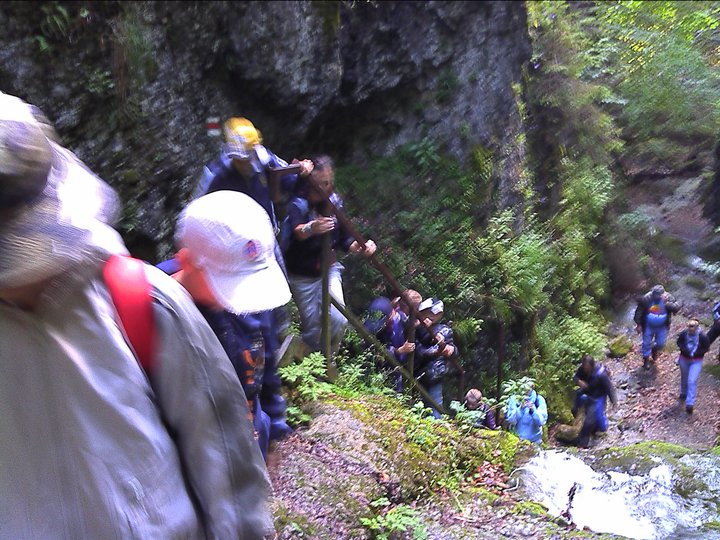 267303_259337654095025_6311432_n