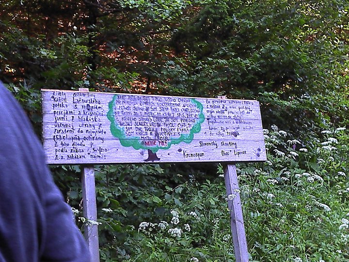 282530_259357797426344_2935785_n