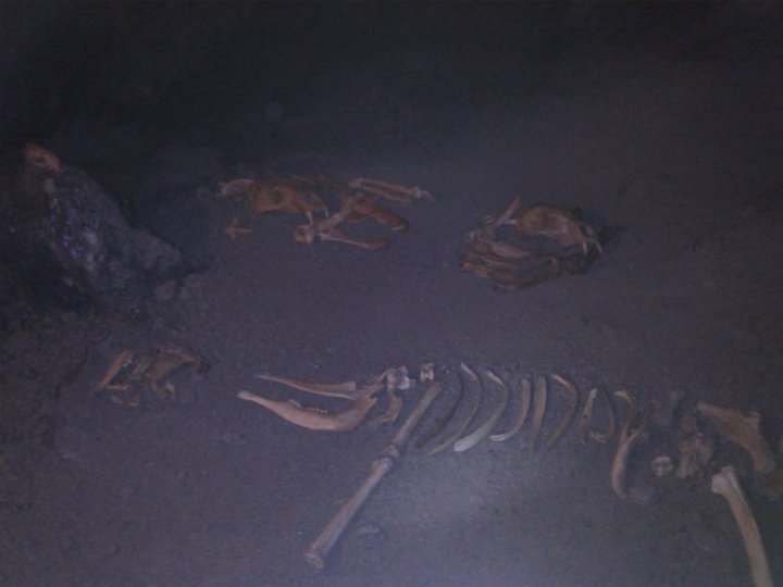 284244_259369747425149_6606009_n