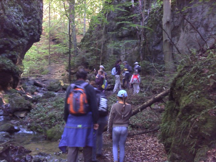 285141_259344924094298_3598730_n